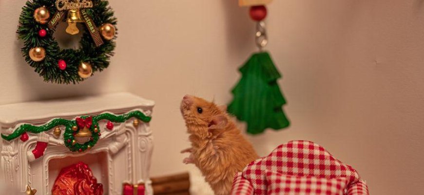 A Woolly Mouse Is Stealing Christmas Thanks To Science