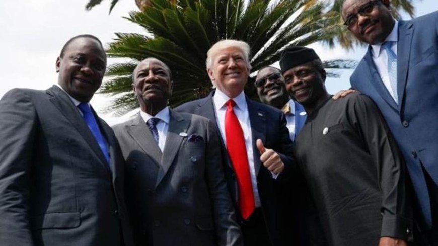 特朗普或许会在不知不觉中让非洲再次伟大