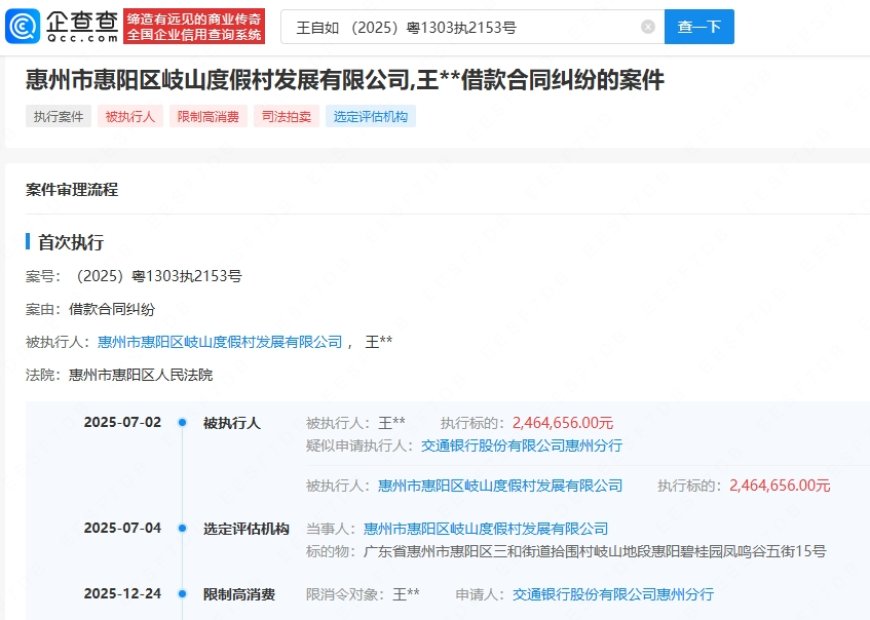 246万元案款未履行 王自如再被限制高消费