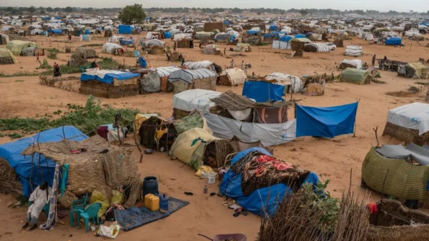 特朗普的非洲战略能否为苏丹带来和平？