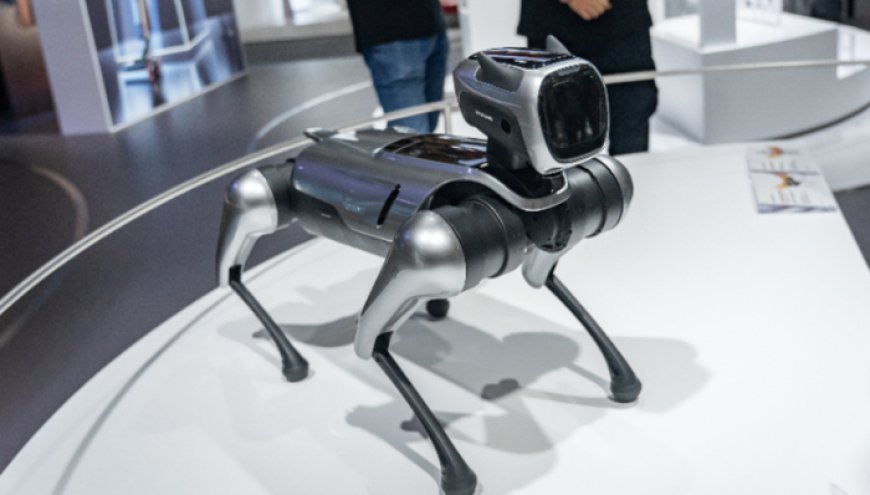 更换审计所遭独董质疑，宝馨科技年报关口过得去吗？