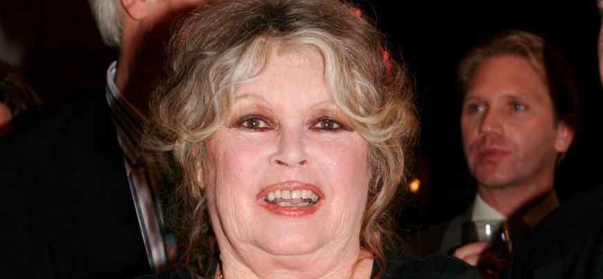 Brigitte Bardot’s Most Personal Regret Comes to Light After Her Passing