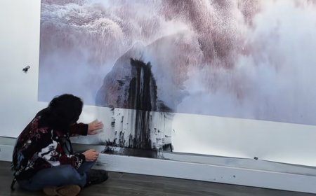 估价380万 著名画家巨幅画作遭泼墨：千万网友献策补救