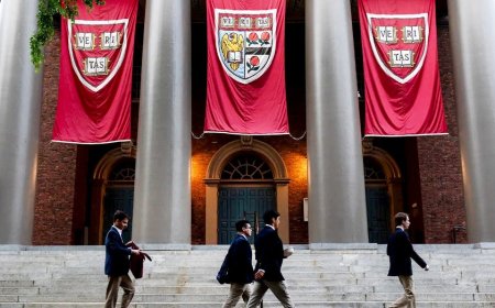 Harvard alum blasts DEI policies after 'woke' values drive longtime professor's exit