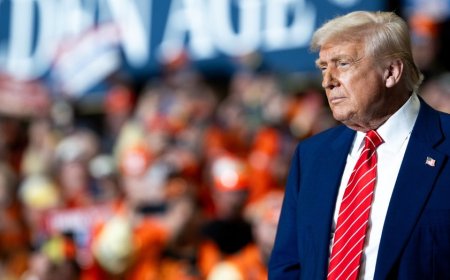 The economic policies shaping Trump’s return to the White House