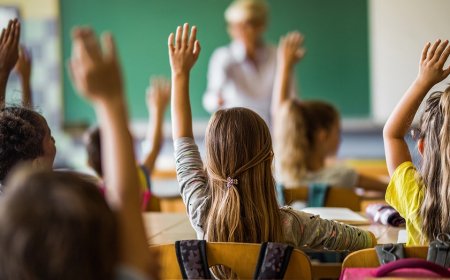 Professor slams 'sneaky approach' to oppression-based teaching of American history: 'fantastically false'