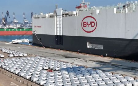 比亚迪超越特斯拉 美媒：马斯克笑不出来了