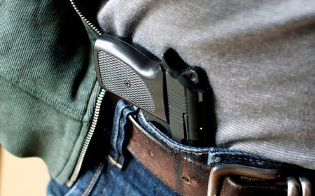 US appeals court strikes down California's open-carry ban in major Second Amendment ruling