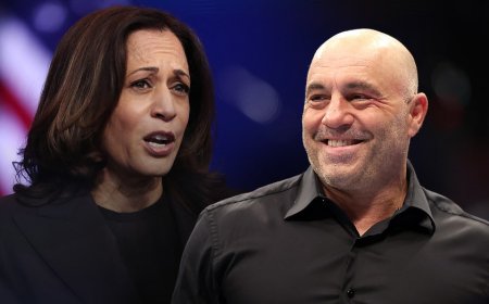 Joe Rogan insists Kamala Harris would've done 'fine' on his 3-hour-show: 'Could've talked for hours'