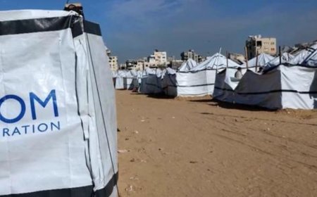 无视多方反对，以政府宣布人道援助禁令生效