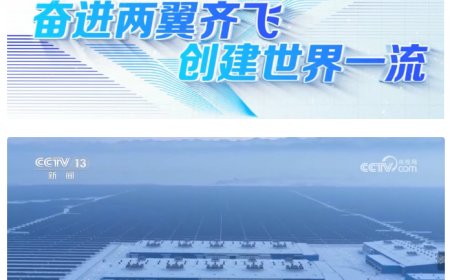 我国最大全钒液流电池储能电站在新疆投运，长时储能技术取得关键突破