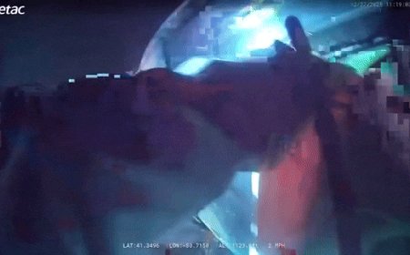 WATCH: Ohio police smash sunroof, drag injured driver from burning car after rollover crash