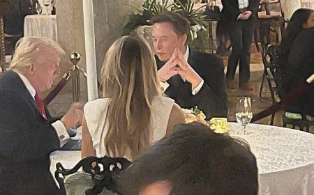 Trump and Musk share 'lovely dinner' at Mar-a-Lago after public feuding