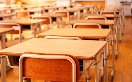 跨省转学办理效率提升约 40%，全国中小学生学籍信息管理系统升级上线