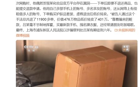 17 岁少年网购虚假退货 1 万多单，被判刑 6 年