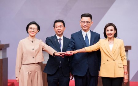 2026大選》林岱樺一句「效忠市民」恐釀脫黨參選？　綠營人士分析：若成真受傷的恐是她