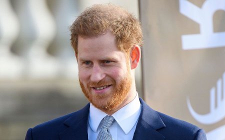 Everything to Know About Prince Harry's Fight for Security in the U.K.