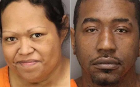 Couple Arrested After Abandoning 9 Puppies and 2 Adult Dogs in Florida Park