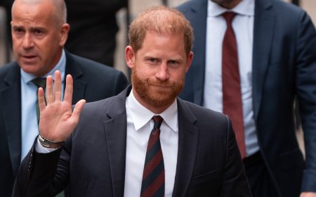 Prince Harry Wins U.K. Battle for Security After Several Appeals: Report