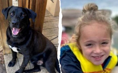 Missing 4-year-old Florida boy found dead after massive 3-day search in Alabama woods