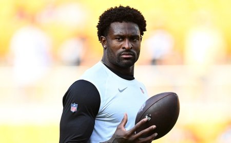 Steelers star DK Metcalf's social media post signals excitement as NFL suspension ends ahead of playoffs