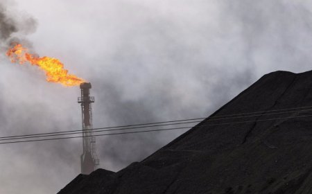 Fox News Politics Newsletter: 3 key takeaways from Trump's push to put US oil firms back in Venezuela