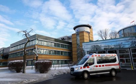 瑞士酒吧元旦大火 所有伤者身份已确认