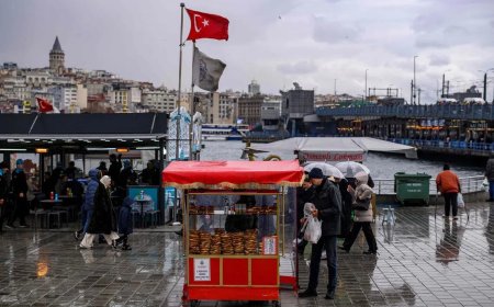 土耳其12月通胀率放缓至30.9% 连续第四个月下降