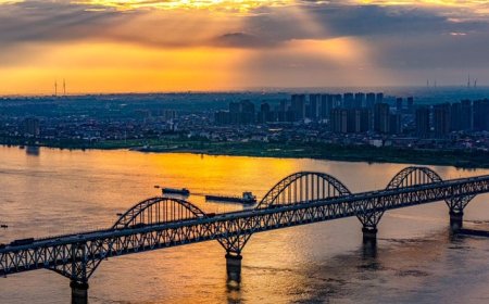 如何治疗“长江病”？中国用十年给出答案