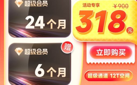 12T 网盘 + 每天 1000 次云添加：迅雷超级会员约 10 元 / 月探底再发车