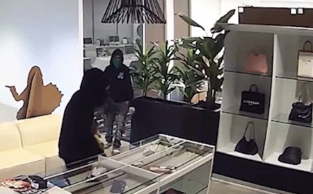 Massive luxury handbag heist caught on camera as heavily armed police swarm California store