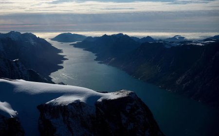 白宫：特朗普不排除动用武力获得格陵兰