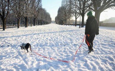 寒流周二续席卷欧洲 法交通事故已五人丧命