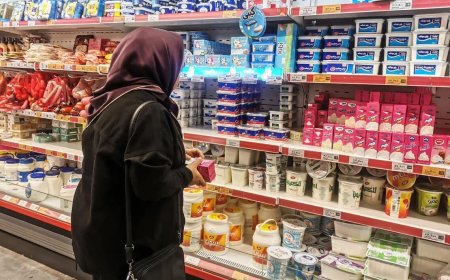 骚乱已致29人死 伊朗下令调查医院暴力冲突