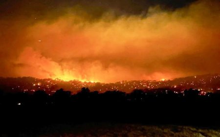 澳洲维多利亚州林火失控 星期五火险将达灾难级别