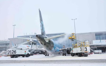 马航班机起飞后引擎异常 紧急折返巴黎