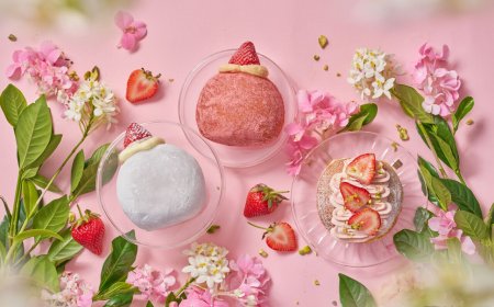 雪系町首創「生甜甜圈草莓大福」　門市IG打卡可現折30元