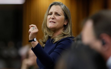 泽连斯基任命加拿大前副总理为乌克兰经济顾问