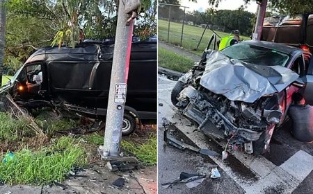 ICE agents report ‘unprecedented’ 3,200% surge in car attacks last year