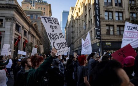 美移民局击毙女子引发大规模抗议 警方逮捕29人