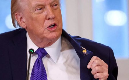 特朗普签行政令：禁法院债权人扣押委石油收入