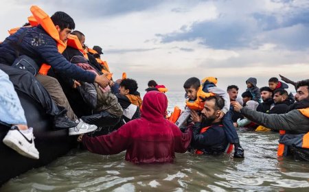 卫报：英国移民锐减 但多数选民误以为在增加