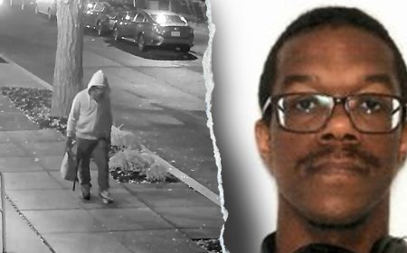 DC pipe bomb suspect pleads not guilty to planting devices at DNC and RNC headquarters