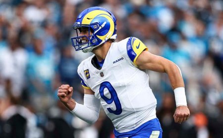 Matthew Stafford’s late heroics lift Rams past Panthers in wild-card thriller