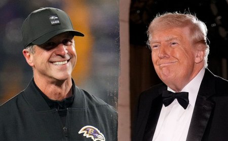 Trump urges John Harbaugh to take the Giants' head coaching job after stunning Ravens firing