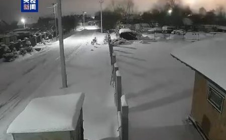 乌官员：袭击乌方设施的“榛树”导弹未携带弹头