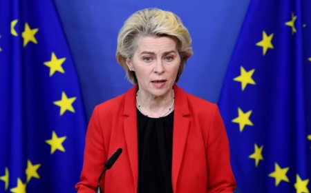 冯德莱恩：法律比武力更强大 该原则也适用于格陵兰岛