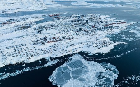 白宫称“绝对需要格陵兰岛”，丹麦希望“澄清误解”