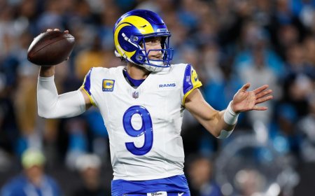 Bears and Rams advance to divisional round with comeback wins to open NFL playoffs