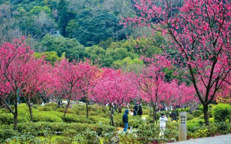 自然漫遊　沉浸春日浪漫風光